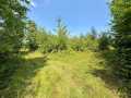 Chetek Land Real Estate