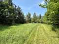 Chetek Land Real Estate