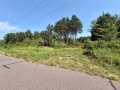 Chetek Land Real Estate