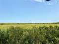 Chetek Land Real Estate
