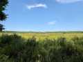 Chetek Land Real Estate