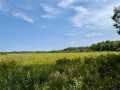 Chetek Land Real Estate