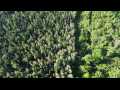 Stone Lake Land Real Estate
