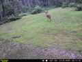 Stone Lake Land Real Estate