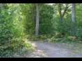Stone Lake Land Real Estate