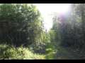 Stone Lake Land Real Estate
