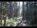 Stone Lake Land Real Estate