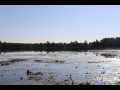 Stone Lake Land Real Estate
