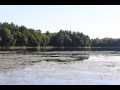 Stone Lake Land Real Estate