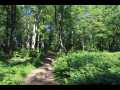 Stone Lake Land Real Estate