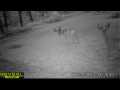 Stone Lake Land Real Estate