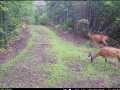 Stone Lake Land Real Estate