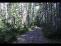 Stone Lake Land Real Estate