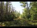 Stone Lake Land Real Estate