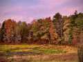 Holcombe Residential Real Estate