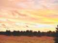 Holcombe Residential Real Estate