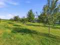 Thorp Residential Real Estate