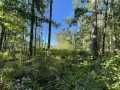 Trego Land Real Estate