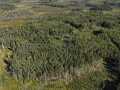 Trego Land Real Estate