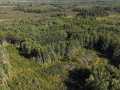 Trego Land Real Estate