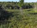 Trego Land Real Estate