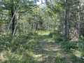 Trego Land Real Estate