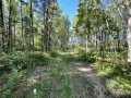 Trego Land Real Estate