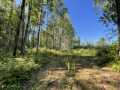 Trego Land Real Estate