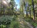 Trego Land Real Estate