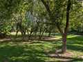Menomonie Residential Real Estate