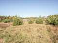 Colfax Residential Real Estate