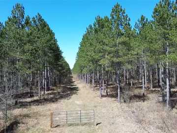 160 acres in Barnes