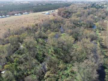33 acres in Strum