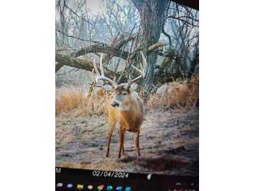 89 acres in Arkansaw