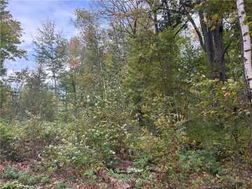 44 acres in Barron