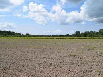 80 acres in Weyerhaeuser
