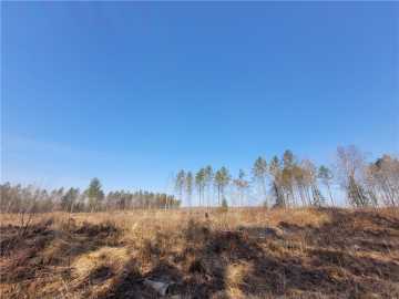 80 acres in Loretta