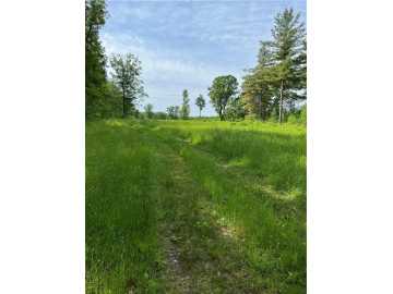 81 acres in Bruce