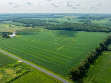 65 acres in Glenwood City