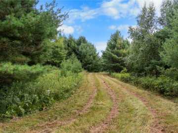 49.27 acres in Trego