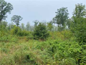 40.18 acres in Exeland
