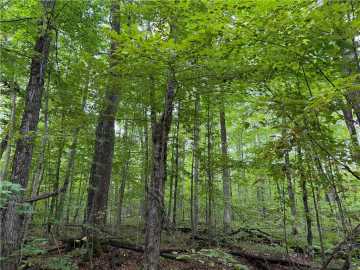 80 acres in Lake Nebagamon
