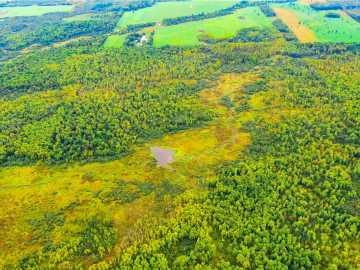 240 acres in Sheldon