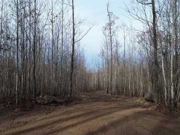 35 acres in Trego