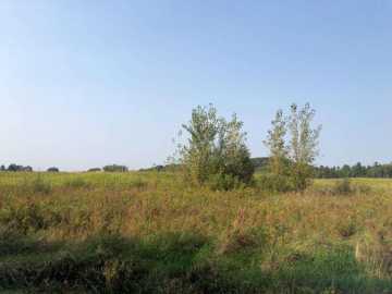 20 acres in Chippewa Falls