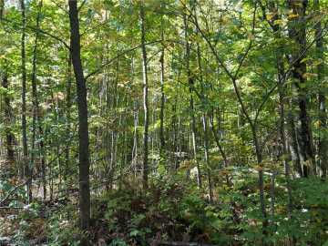280 acres in Mason