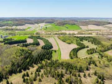 211 acres in Mondovi