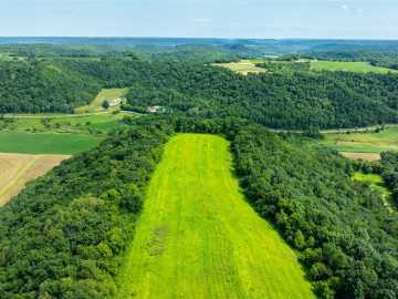 177 acres in Fountain City