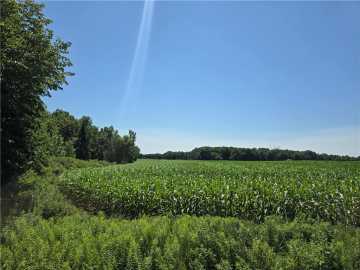 40 acres in Chetek
