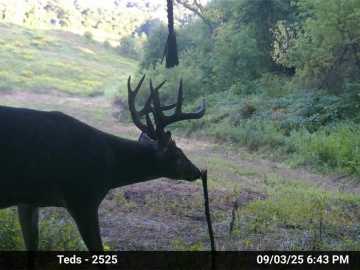 200 acres in Strum